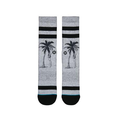 Cheeky Palm