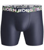 BB Solids Per Shorts