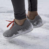 Arctic Grey Trainer
